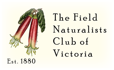 FNCV Logo